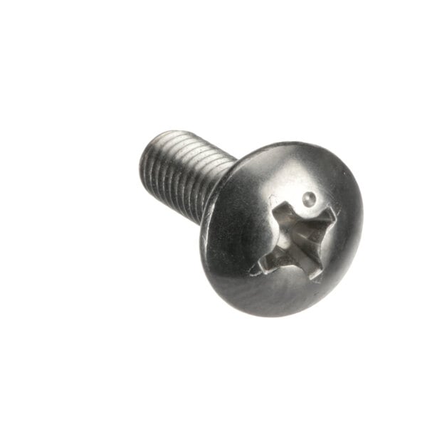 A close-up of a Hoshizaki truss head screw with a hole in it.